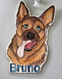 1588452894.bruno-schafer_img_4031