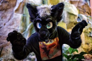 1566068355.signawolf_2-joshua1__2_